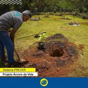 JUNHO VERDE: No mês do meio ambiente o Sistema Prever destaca o projeto “Árvore da Vida”