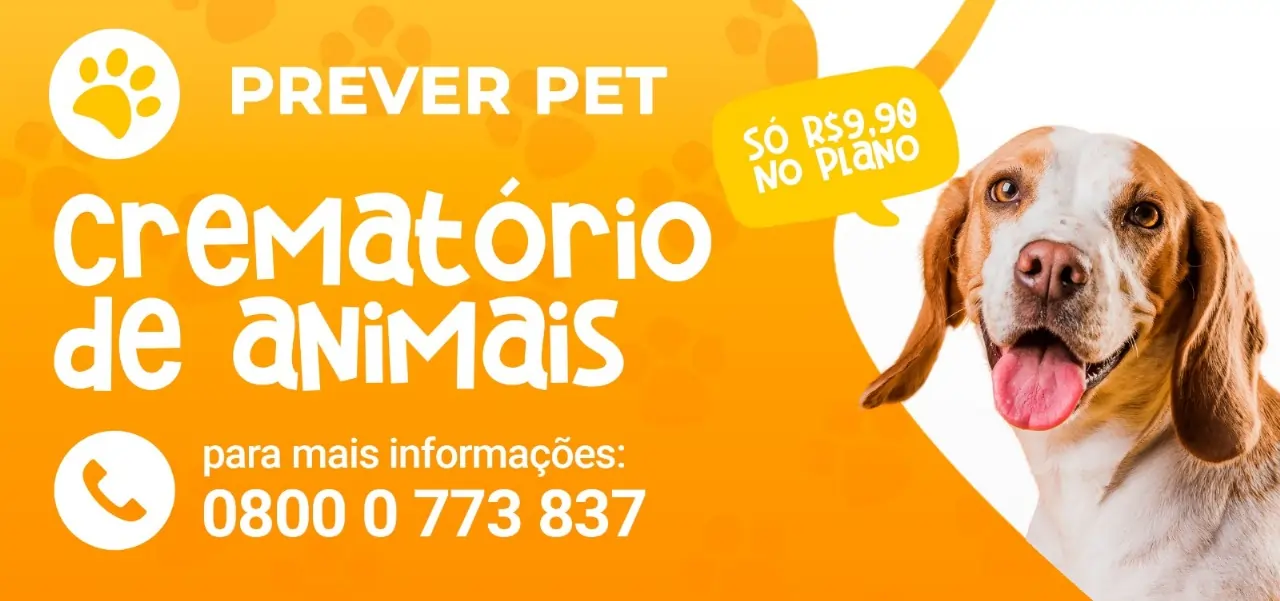 Prever