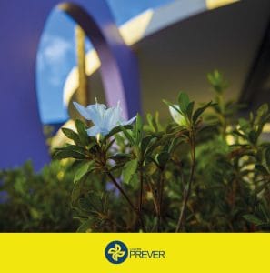 A história de sucesso do Sistema Prever